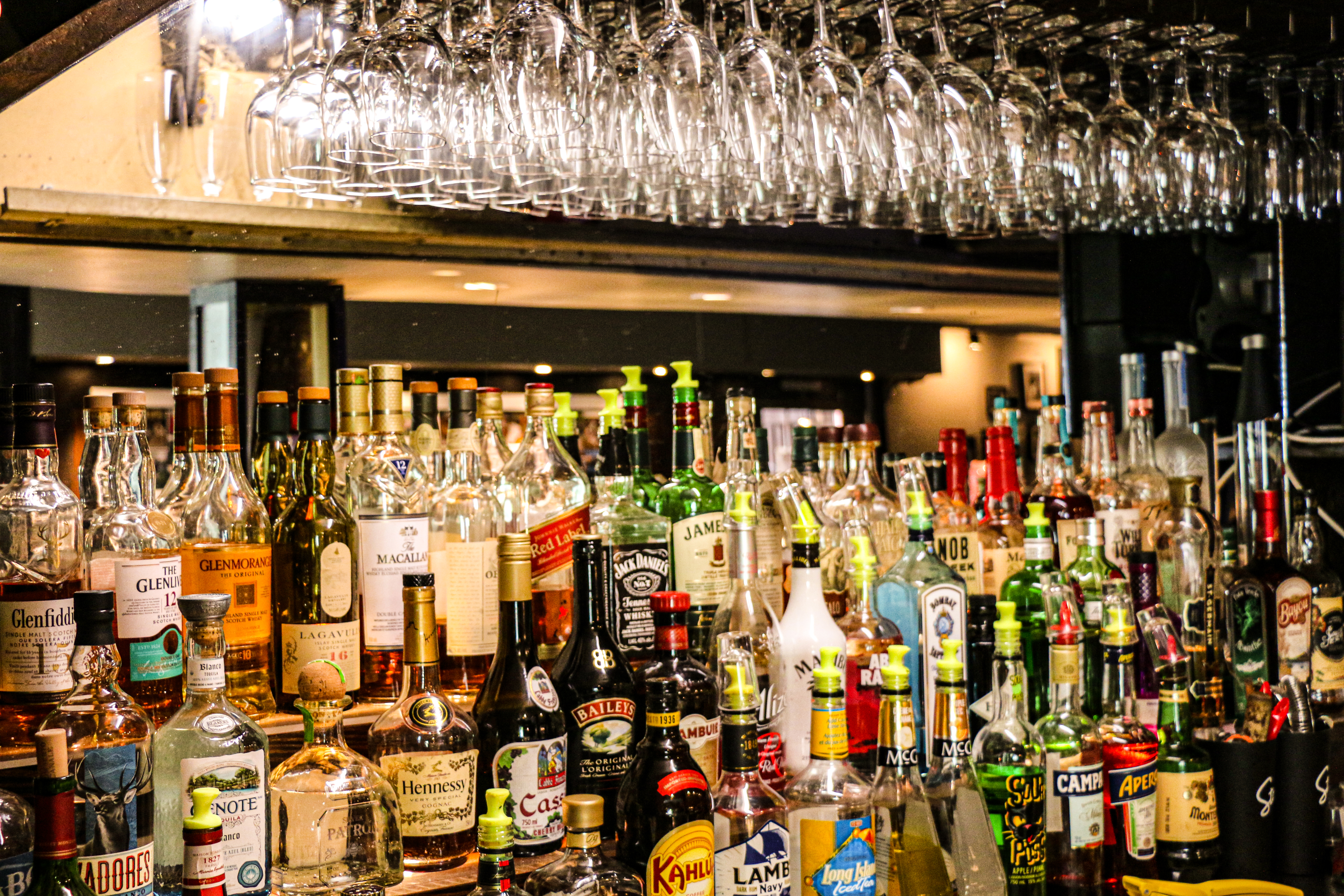Hair of the Dog interior